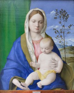  by Giovanni Bellini