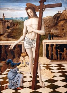 by Giovanni Bellini
