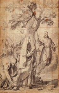 Hermit Aziz Torello