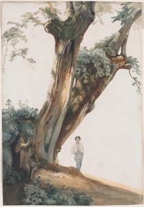 Roma Campagna