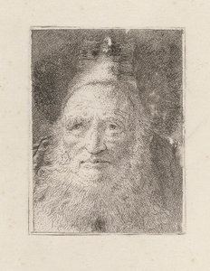Raccolta di Teste