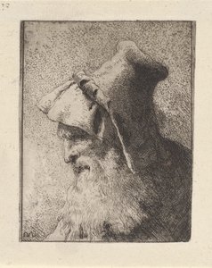 Raccolta di Teste