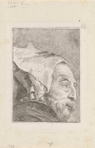 Raccolta di Teste