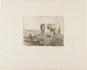  by Giovanni Fattori