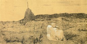 Pio Bove (Dindar veya Barışçıl Öküz), Giovanni Fattori (1825-1908), gravür by Giovanni Fattori