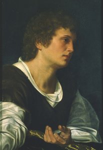 Aziz John the Evangelist (tuval üzerine yağlı boya) by Giovanni Girolamo Savoldo
