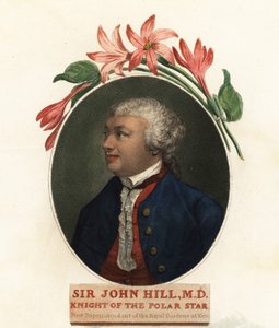 Sir John Hill