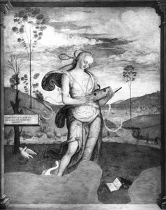 clio by Giovanni di Pietro c.1450-1529 Giovanni di Pietro c.1450-1529