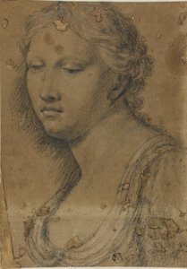 kadın büstü by Girolamo da Carpi