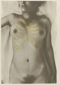 Anatomische foto van een vrouwelijk lijk: 'de vorm van de borstpartij in relatie tot het skelet' (İskelete göre memenin şekli] Sanatçıların kullanması için insan anatomisi Atlası : üreme ve illüstrasyon, anatomik by Giulio Chiarugi (attributed to)