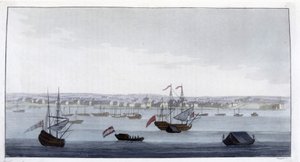 Paramaribo (Guyana) şehrinin görünümü - Dr. Jules Ferrario
