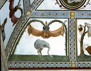 Bir devekuşunun Cupid Frizi detayındaki Camera con Fregio di Amorini Odası, 1520