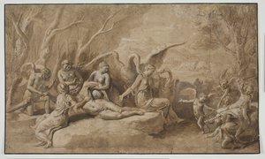 Venüs, Adonis