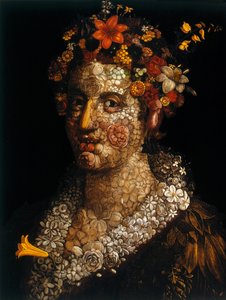 bitki örtüsü, c1591
