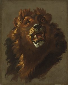 Aslan