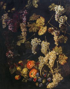 Üzüm, asma yaprağı ve diğer meyvelerle natürmort, Giuseppe Recco'nun yağlıboya tablosu (1634-1695)