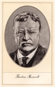 Theodore Roosevelt, Amerika Birleşik Devletleri
