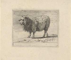 Koç Çeşitli hayvanlar (dizi başlığı) by Govert van der Leeuw