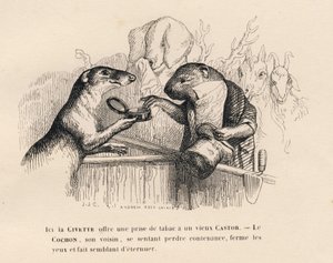 Bir misk kedisi yaşlı bir kunduza bir tutam tütün sunar, arkasındaki domuz kendini tutmaya çalışır. JJ Granville tarafından gösterilen vinyetler. Gravür, PJ Stahl tarafından "Sahneler" bölümünde yazılan "Parlamento özeti" başlıklı önsözde Andrew Best ve Le by Grandville