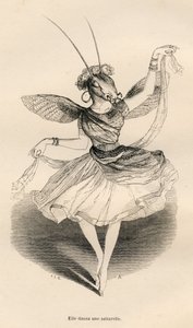Saltarelle dansı yaptı. JJ Granville tarafından gösterilen vinyetler. "Hayvanların Özel ve Kamusal Yaşamlarından Sahneler"de PJ Stahl tarafından yazılan "Bir Kelebeğin Maceraları" başlıklı bölümde Andrew, Best ve Leloir tarafından yapılan gravür. Paris, J. by Grandville