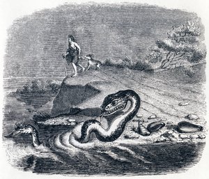 Yılanın önü ve kuyruğu - La Fontaine'in Masalları by Grandville