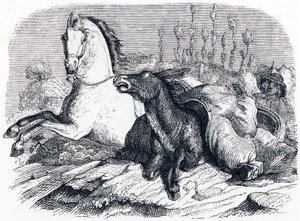 At ve eşek (Le cheval et l