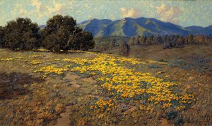Kaliforniya haşhaşları by Granville Redmond