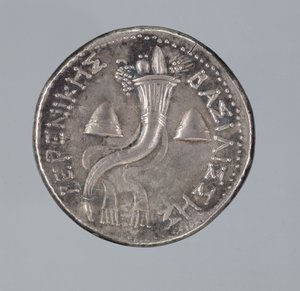 Berenice II