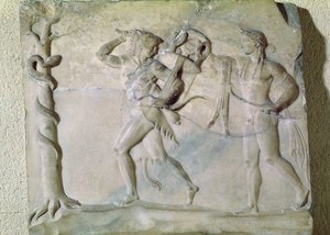 Apollo