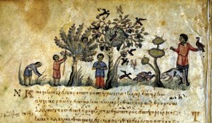 Şahinle avlanmak ve kuş yuvalarını yakalamak. Oppianus De Venatione