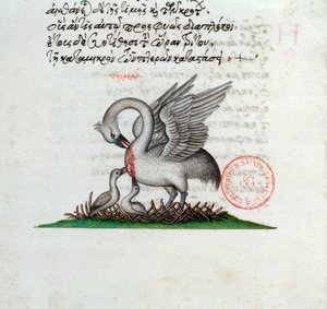 Ms 3401 Bir Bestiary