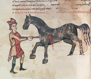 Ms Grec 2244 fol.37v At üzerinde çalışıyor by Greek School