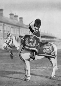 Plum Duff, Royal Scots Greys'in davul atı, 1896