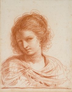 Genç Bir Kadının Başı, 1550-1666