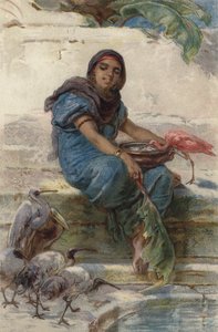 Kutsal Kuşları Beslemek (renkli taş)