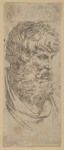 Sakallı bir adamın büstü, M.Ö. 1600-1640. by Guido Reni