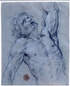 Yarı figür çıplak adam, Guido Reni