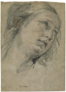  by Guido Reni