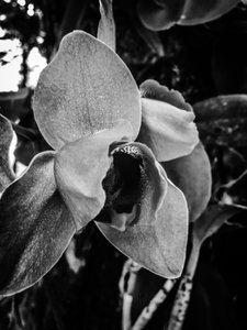  by Guilherme Pontes