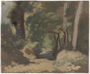 orman yolu