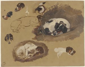 av köpeği çalışmaları by Guillaume Anne van der Brugghen