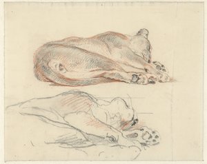 Yatan bir kaplanın iki çalışması by Guillaume Anne van der Brugghen