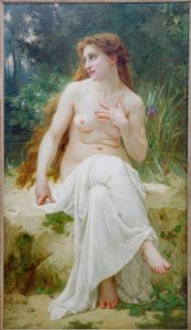 su perisi