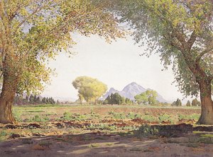 Salt River Valley (kağıt üzerinde w/c ve guaj)