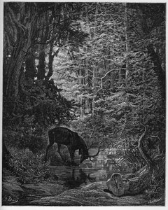 Le cerf se Véant Dans L
