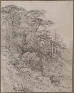 Rocky Hillside'ın Ağaçları by Gustave Achille Guillaumet
