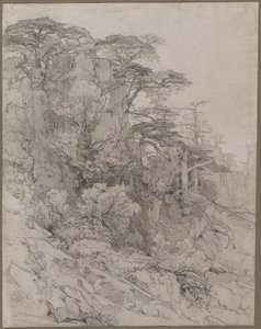 Rocky Hillside