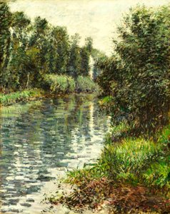 Seine Nehri
