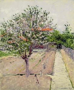 Çiçek Açan Elma Ağacı, c.1885 by Gustave Caillebotte