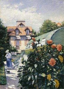 Dahlias, Petit Gennevilliers